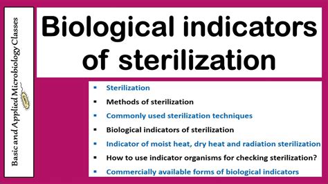 sterilizer leak test parameters